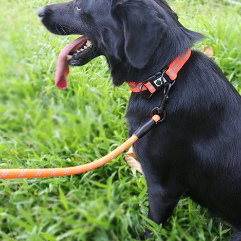 Night reflective dog vest safety gear for walks