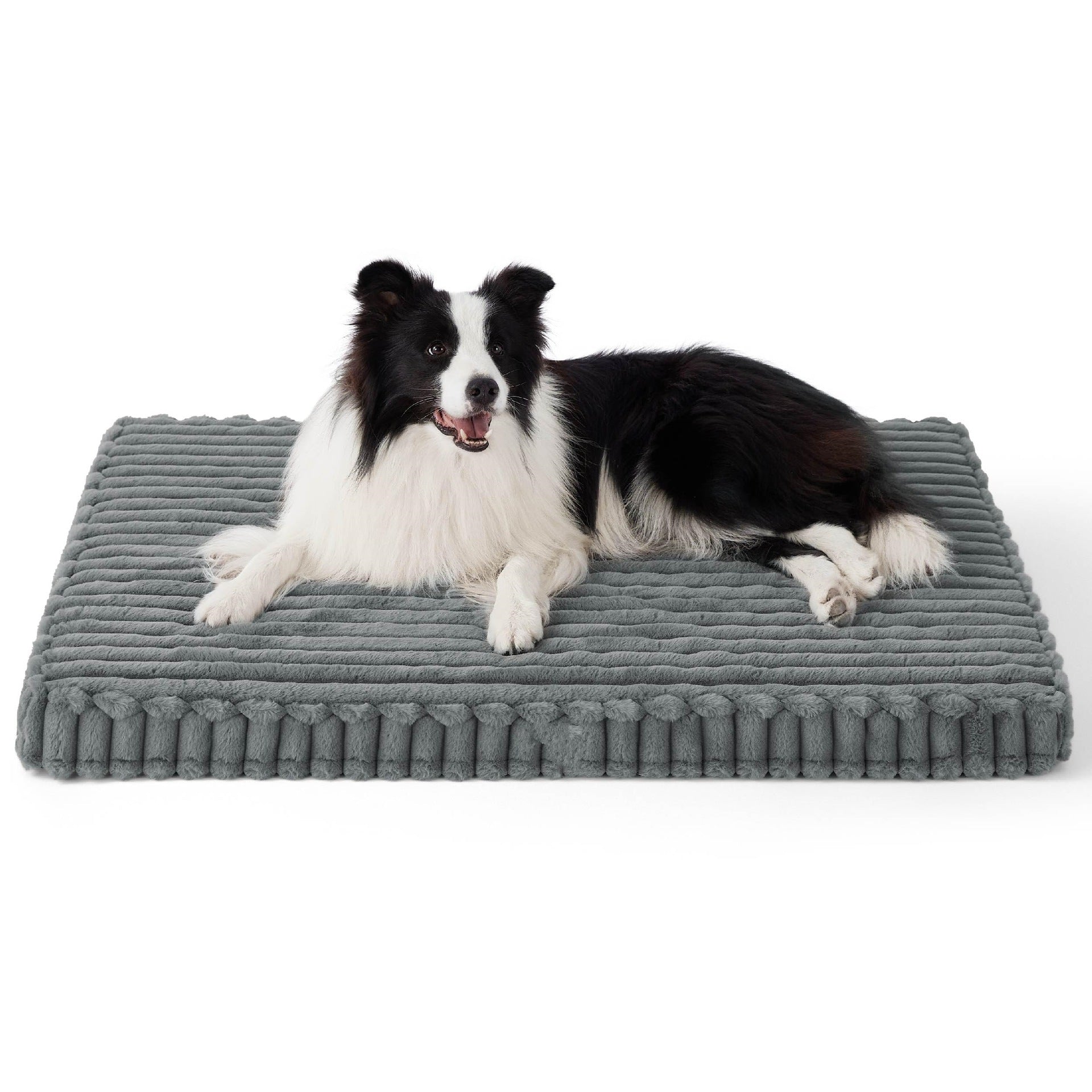 Orthopedic Memory Foam Dog Bed - Snug Mutt