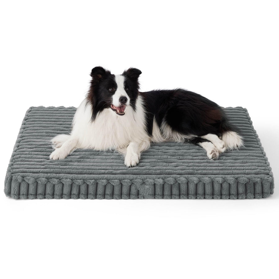 Orthopedic Memory Foam Dog Bed