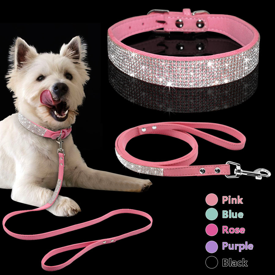 Heavy-Duty Padded Dog Collar — Adjustable & Comfortable