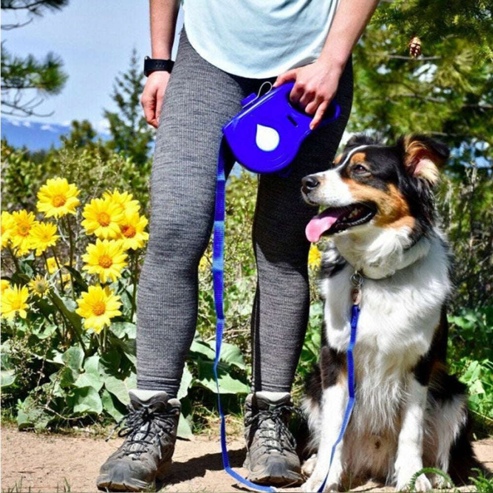 Retractable dog leash portable automatic pet leash