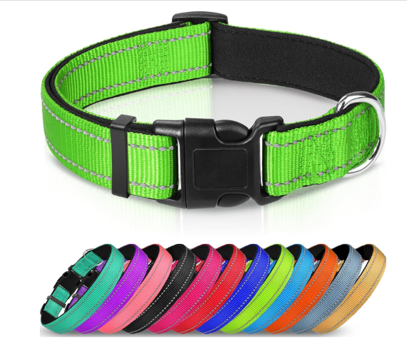 Dog collar Green fluorescent reflective adjustable nylon