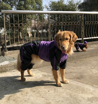 Dog Rain Jacket Purple waterproof