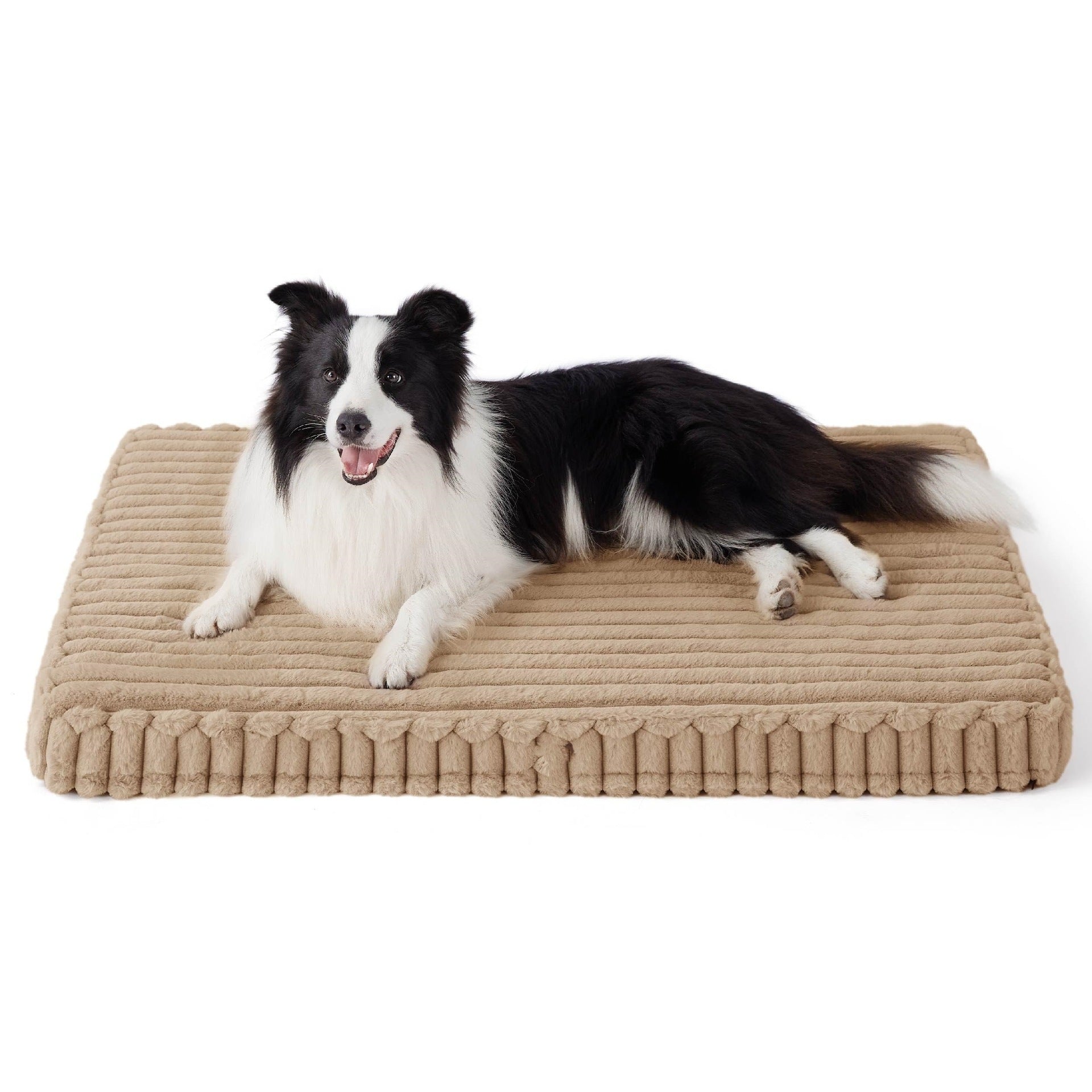 Memory Foam Dog Bed Large - Snug Mutt