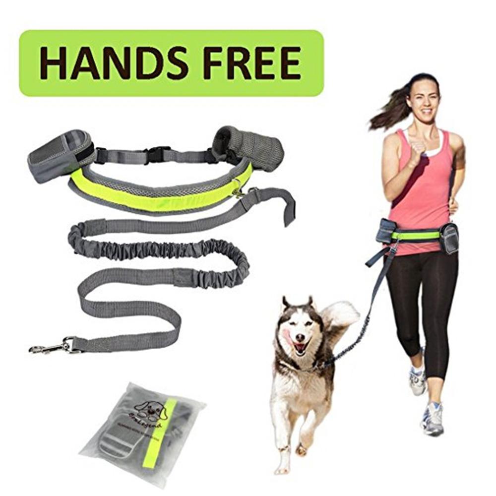 Hands-free running leash waistband dog jogging reflective