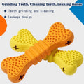 Dog Dental Chew Sticks — 2-Pack Toothbrush Toy