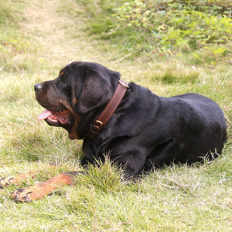 Genuine Leather Dog Collar — Premium Cowhide