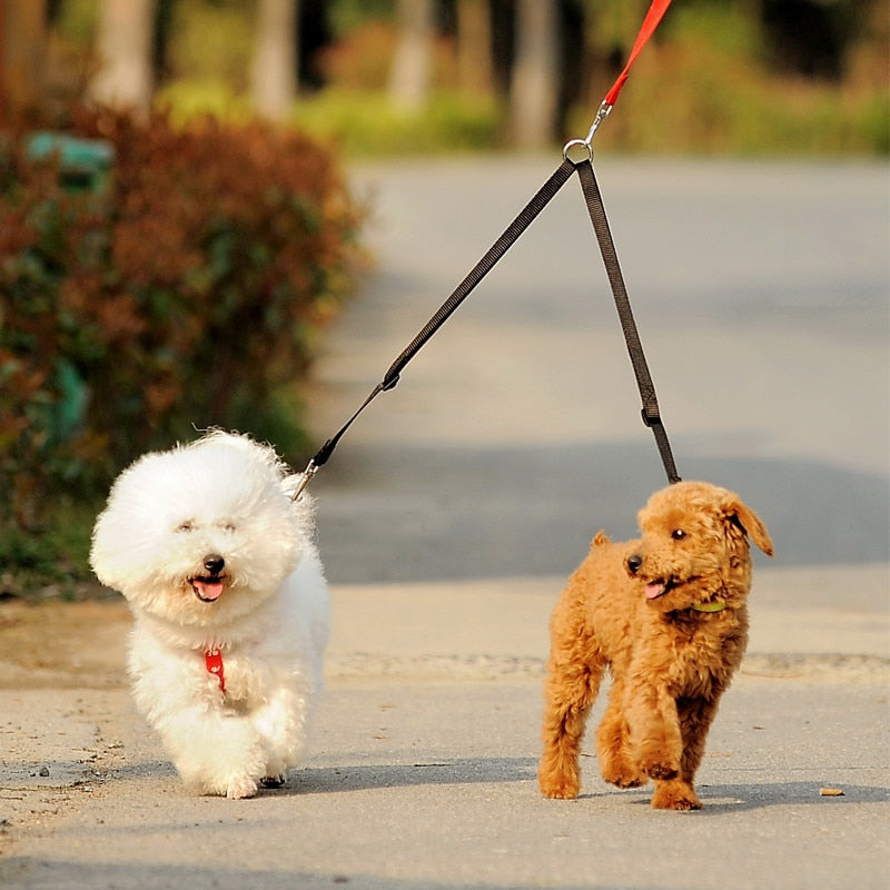 Double dog leash coupler walk two dogs one leash tangle free