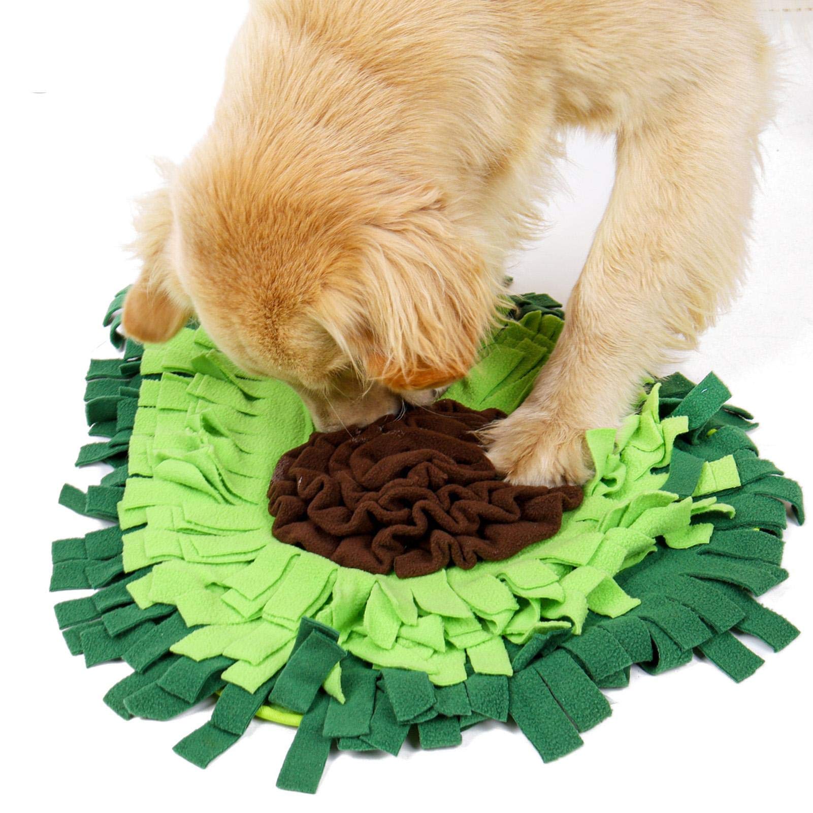 Dog foraging enrichment mat slow feeder