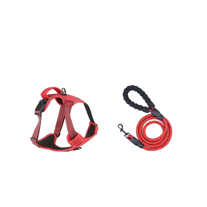 No-Pull Dog Harness — Breathable Reflective Vest with Leash Set