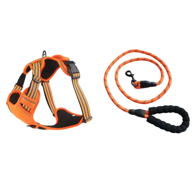 No-Pull Dog Harness — Breathable Reflective Vest with Leash Set