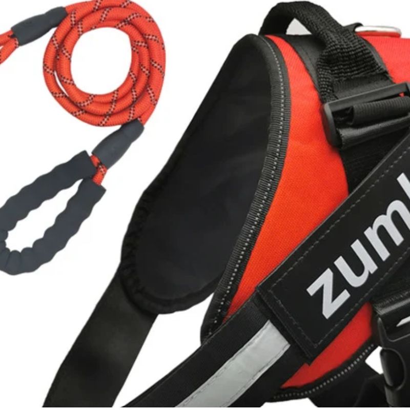 Personalized Reflective Breathable Adjustable Dog Harness and Leash Set