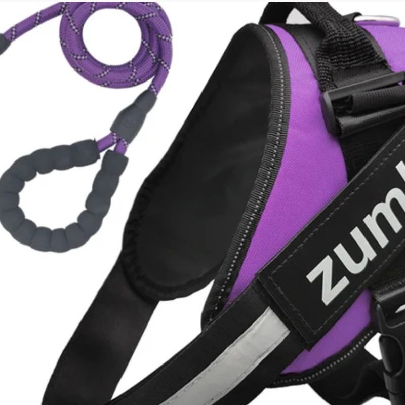 Personalized Reflective Breathable Adjustable Dog Harness and Leash Set
