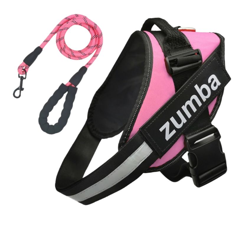 Personalized Reflective Breathable Adjustable Dog Harness and Leash Set