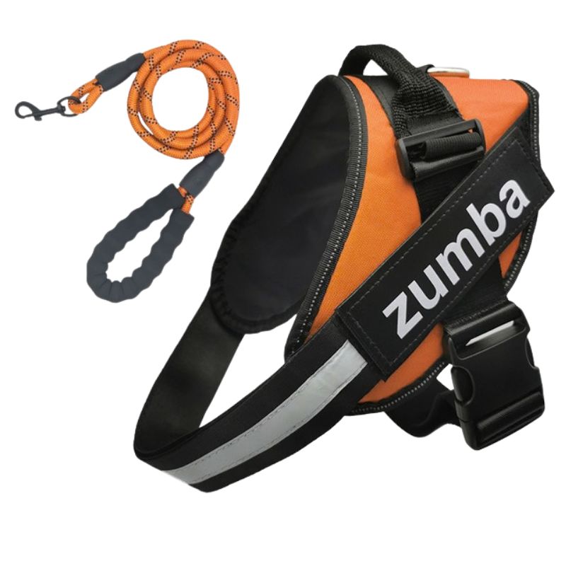 Personalized Reflective Breathable Adjustable Dog Harness and Leash Set
