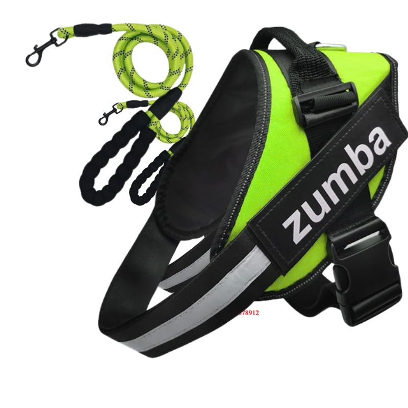 Personalized Reflective Breathable Adjustable Dog Harness and Leash Set