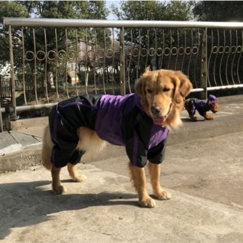 Dog Rain Jacket — Waterproof