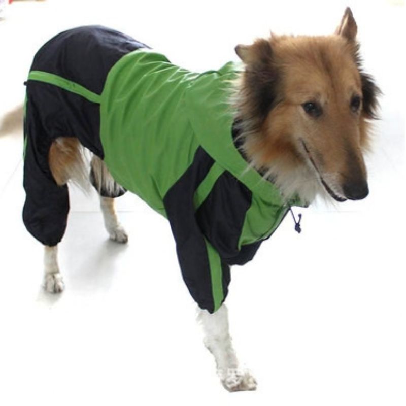 Dog Rain Jacket — Waterproof