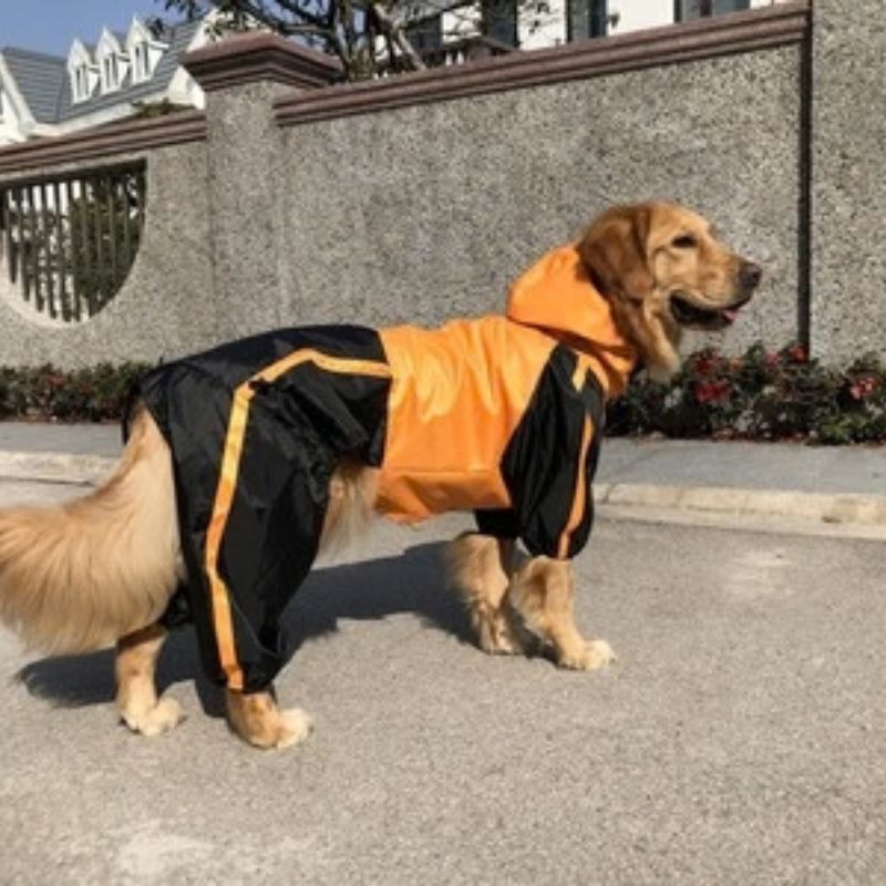 Dog Rain Jacket — Waterproof