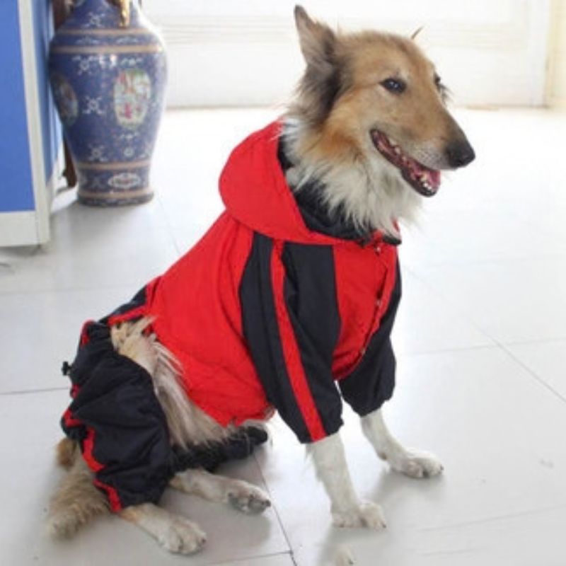 Dog Rain Jacket — Waterproof