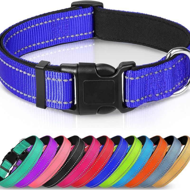 Adjustable Dog Collar — Reflective