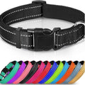 Adjustable Dog Collar — Reflective