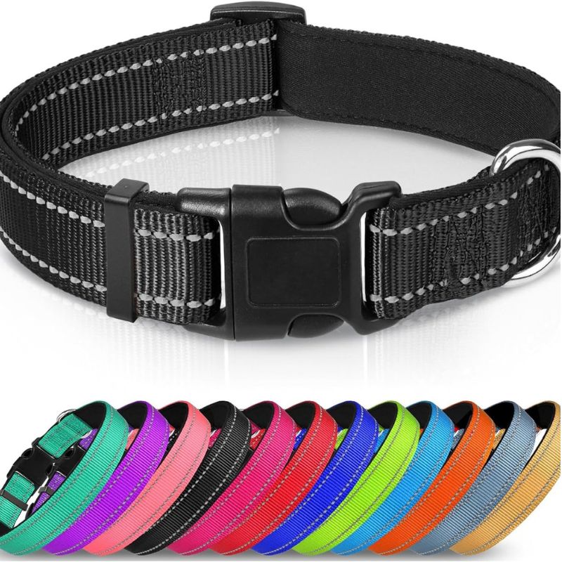 Adjustable Dog Collar — Reflective