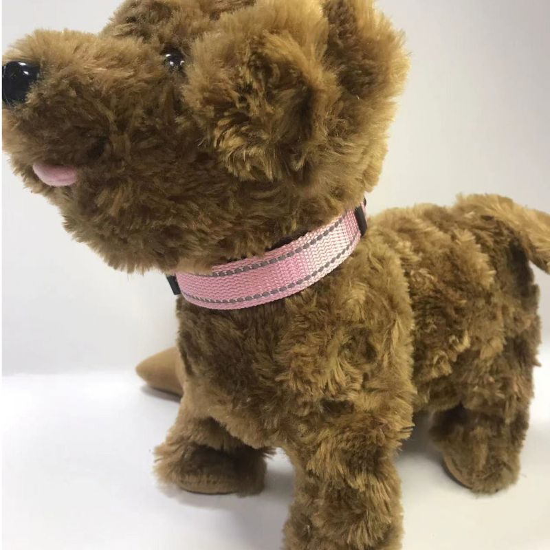Adjustable Dog Collar — Reflective
