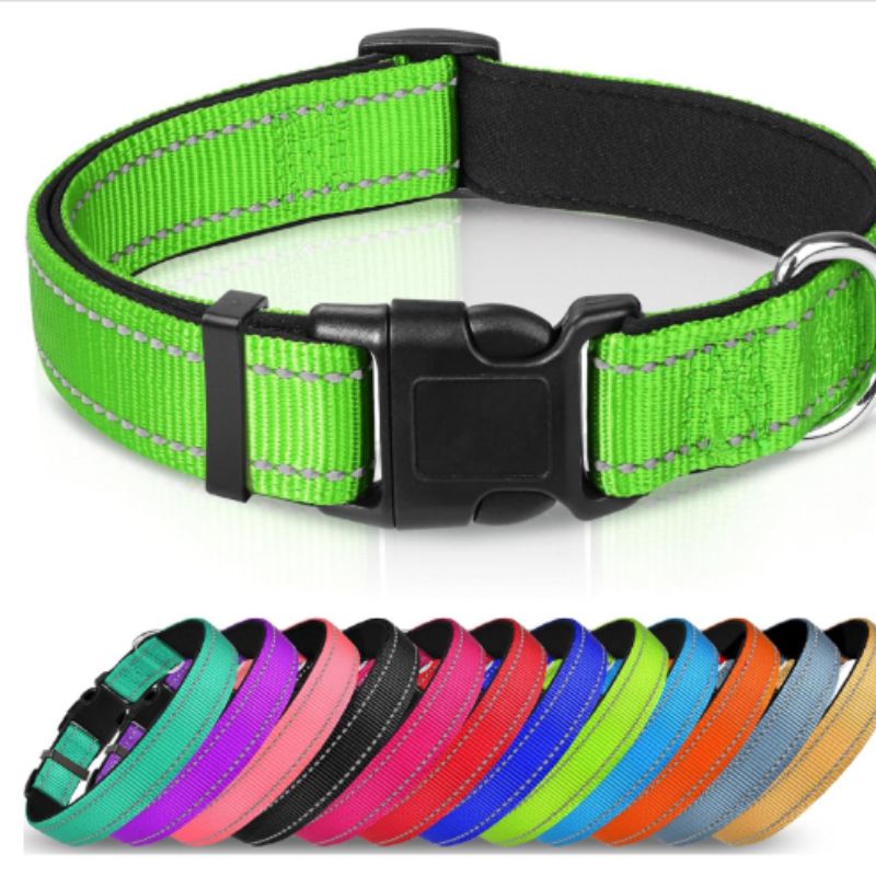 Adjustable Dog Collar — Reflective