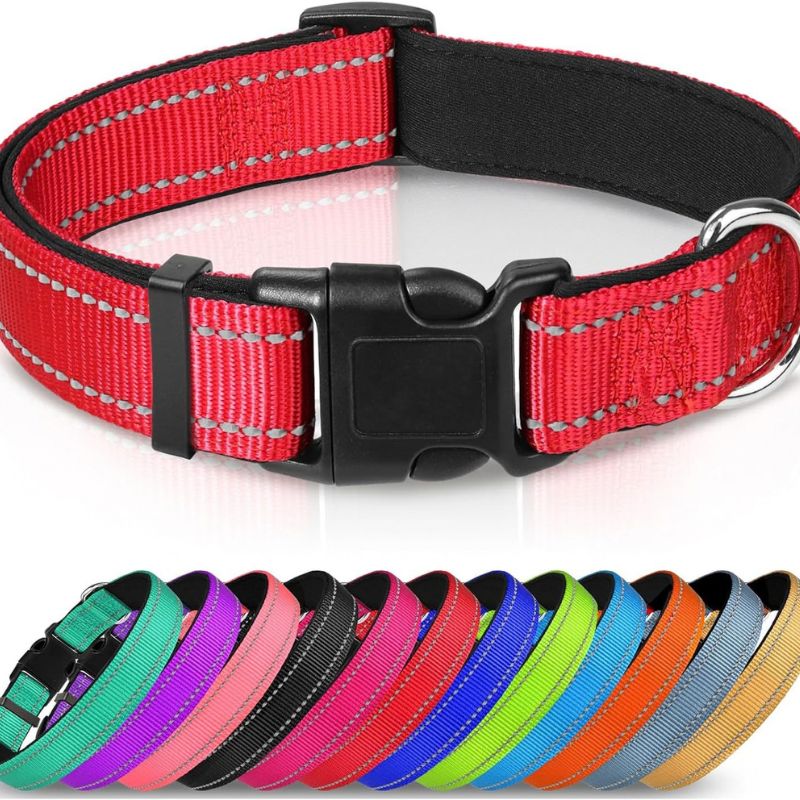 Adjustable Dog Collar — Reflective