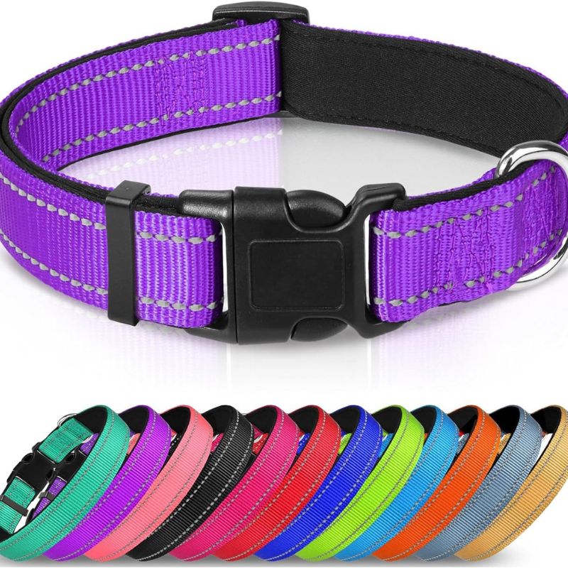 Adjustable Dog Collar — Reflective