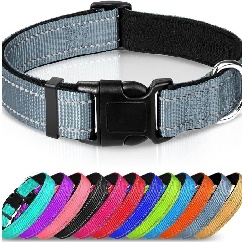Adjustable Dog Collar — Reflective