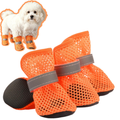 Dog cooling bandana summer heat outdoor walk reflective